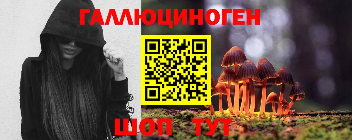 Нефтекумск  Псилоцибиновые грибы Psilocybe  Псилоцибиновые грибы ЛСД  Вход с VPN 